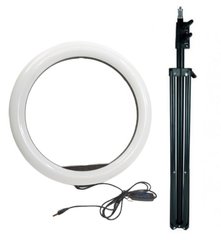 Кольцевая лампа для фото, селфи RL-14 mini 36 см +штатив