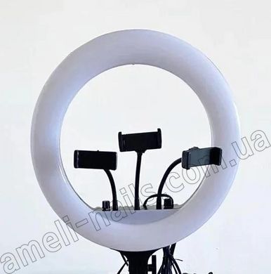Світлодіодна кільцева лампа для фото, селфі з тримачем для телефону RL-14 36 см