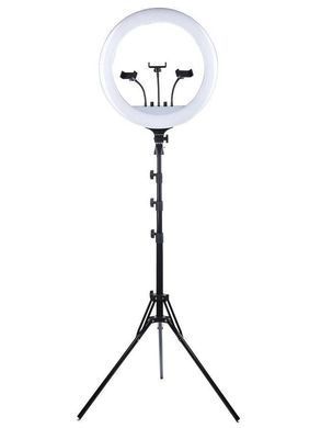 Кольцевая LED лампа для фото, селфи с держателем для телефона RL-21 54 см + ШТАТИВ + ПУЛЬТ + СУМКА