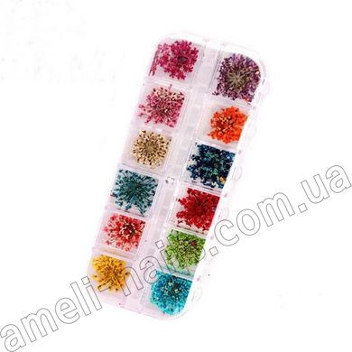 Сухоцвіти для дизайну нігтів, набір 12 кольорів.
